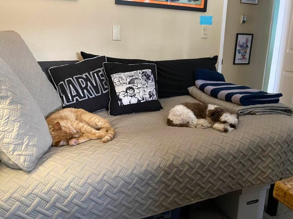 Preview from Homecoming, Knicks Countdown, and Sleeping Coworkers