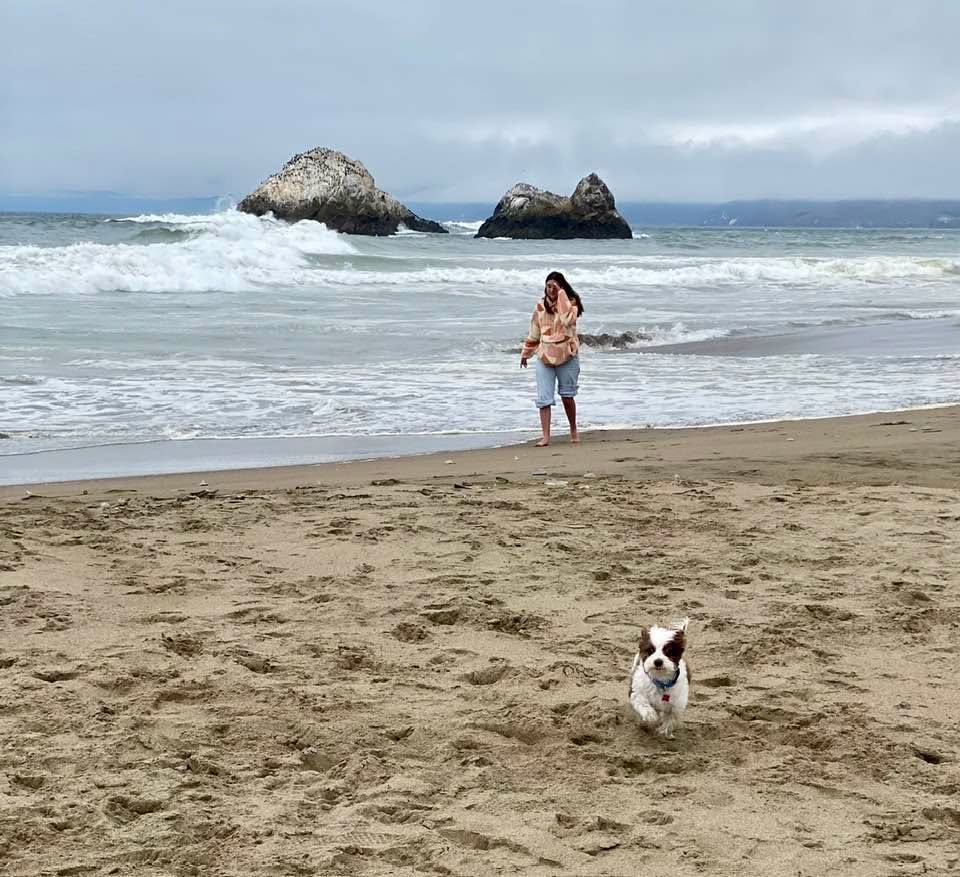 Preview from One Girl, One Dog, One Ocean