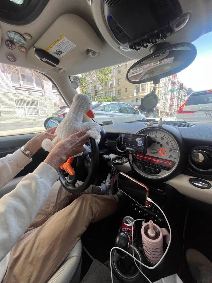 Preview from Record Store Day and Goose as Co-Pilot