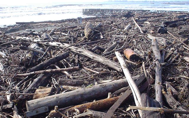 Image from Aftermath