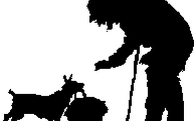 Image from What Is Old?