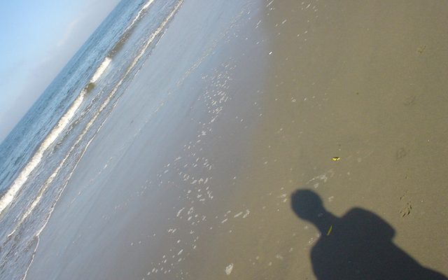 Image from Me and My Shadow