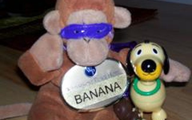 Image from Monkey Undone